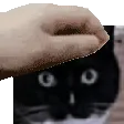 nori_pat