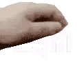 A_esmpet Discord emoji