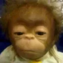 monke