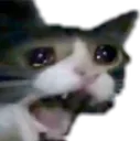aaa