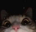 emoji_1