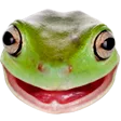osFrog