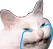catcry
