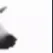 cow_4_1