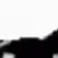 cow_2_1 cow_2_1