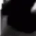 cow_1_2