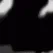 cow_2_2 cow_2_2