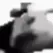 cow_3_1