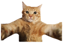 ch_cattohug Discord emoji