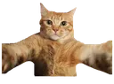 ch_cattohug