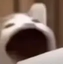 AAAAA