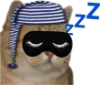 ChatDodo