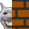 wallsmile
