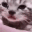 catcry