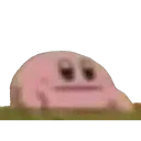 kirb