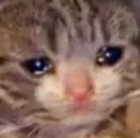 SADGE