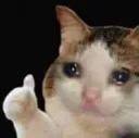 Thumbsupcat thumbsupcat Discord Emoji