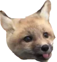 FoxBlep