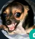 emoji_44
