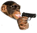monke_terminate