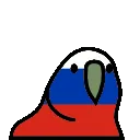 russiaparrot