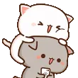 SF_CatsRubs