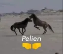 Meme_Pelien