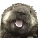 JoeySmile