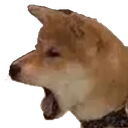 :dogyell: