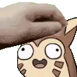 PV_PetTheFurret