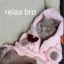 kittyrelax Discord Emoji