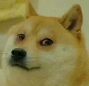 doge Discord Emoji