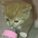 SCbabymilk
