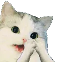 clapcat