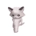 catwoo
