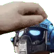 anthonypetpet