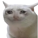 sed
