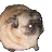 :danse: danse