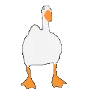 gooseseesaw_RS