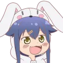 bunny bunny
