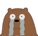 grizzlycrying