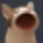 bwob