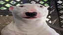 WALTERPFP