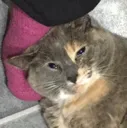 sadbink