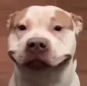 thisisfine
