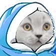 Cat Blanket CatBlanket Discord Emoji