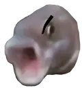 angrypog