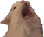 REEcat