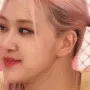 arosesmirk