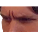 Sus